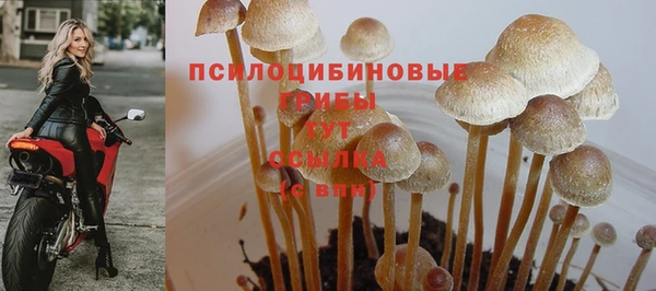 прущая мука Покачи