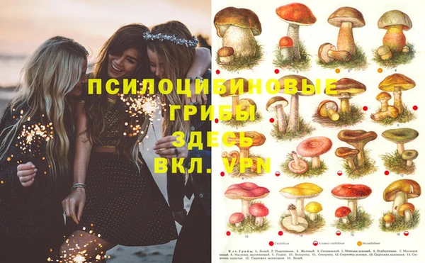 кокаин VHQ Покров