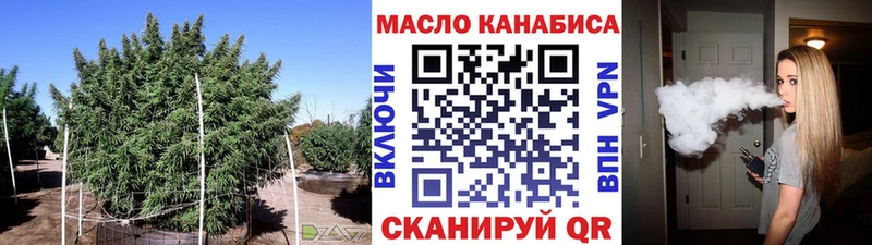 Купить  Углегорск  ТГК концентрат 